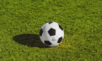 上海海港2-0山东泰山 中超 武磊 虎牙体育